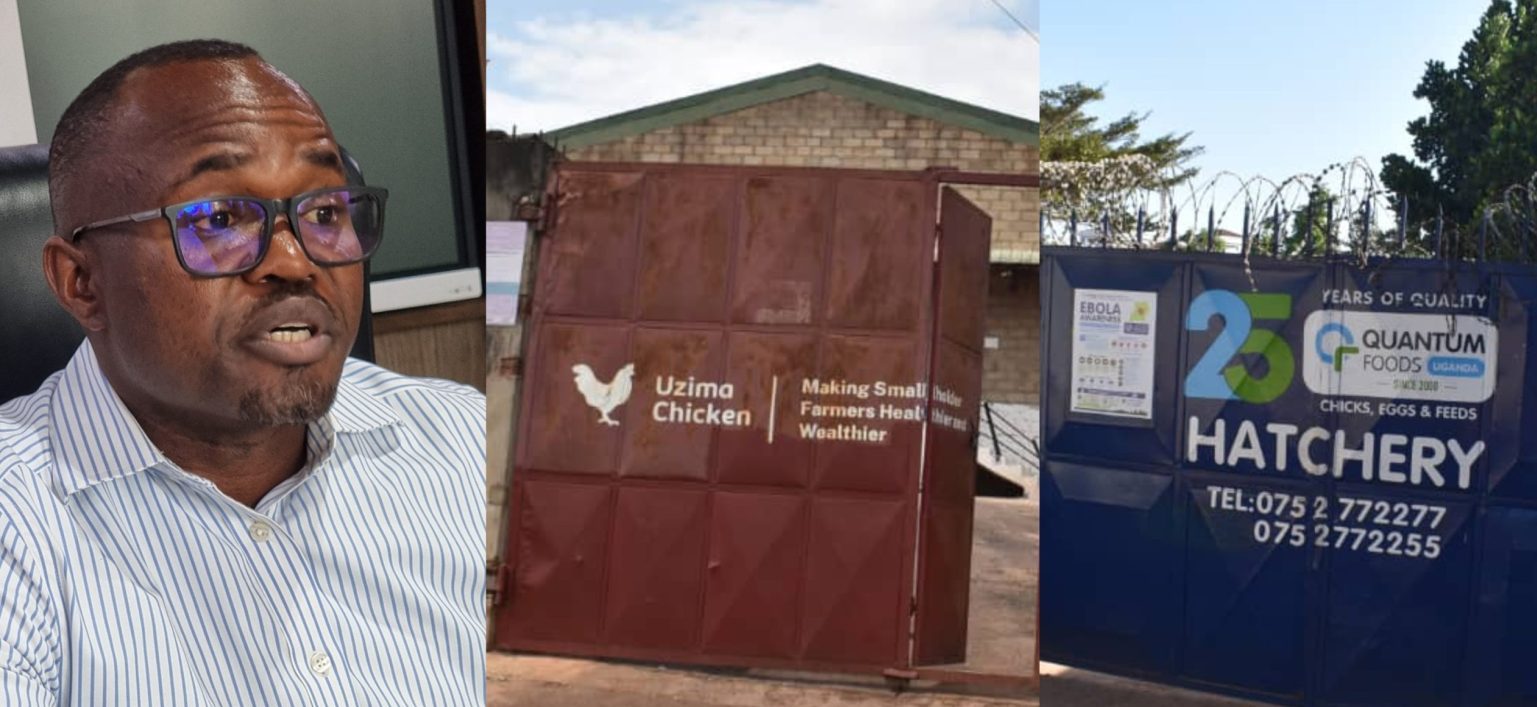 Arrests as NDA Raids Uzima Chicken Factory , Quantum Foods Uganda , recovers large quantities of smuggled poultry vaccines Arrests as NDA Raids Uzima Chicken Factory , Quantum Foods Uganda , recovers large quantities of smuggled poultry vaccines
