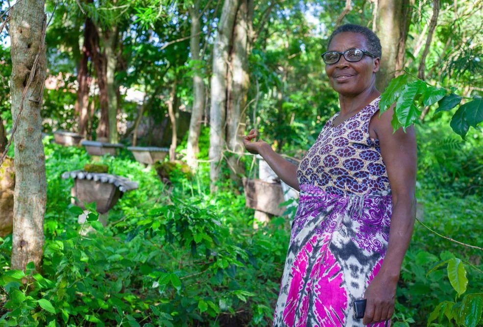 How ECOTRUST is Transforming Uganda’s Climate Frontlines Through Farmer-Led Carbon Forestry How ECOTRUST is Transforming Uganda’s Climate Frontlines Through Farmer-Led Carbon Forestry